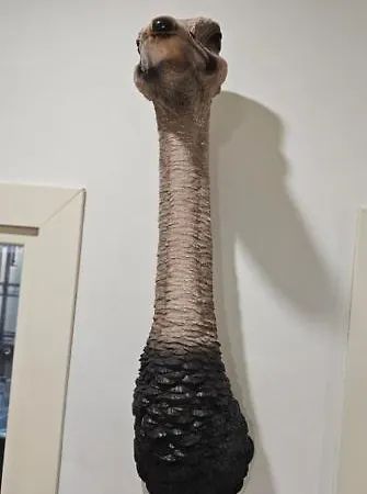 Emanuele Filiberto *